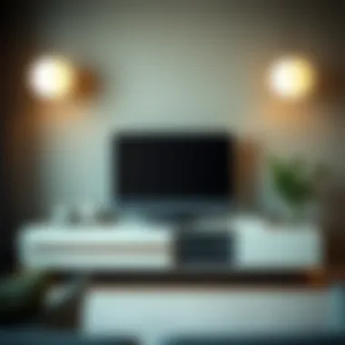 Exploring the Record Holder TV Stand: An In-Depth Analysis Summary Exploring the Record Holder TV Stand: An In-Depth Analysis Summary