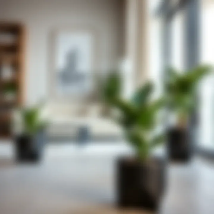 Modern interior featuring small black planters