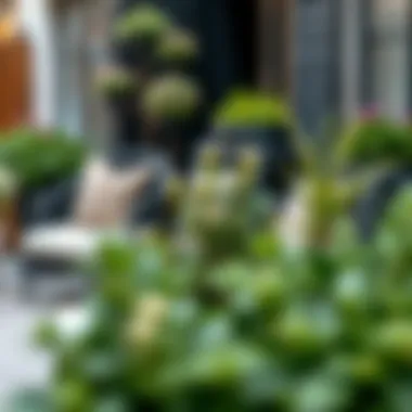 Outdoor setting showcasing small black planters