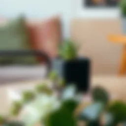 Stylish small black planter with succulent