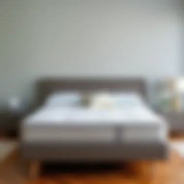 Luxurious US king size mattress with plush bedding