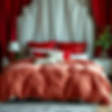 Exploring the Value of Cheap Red Comforters Summary