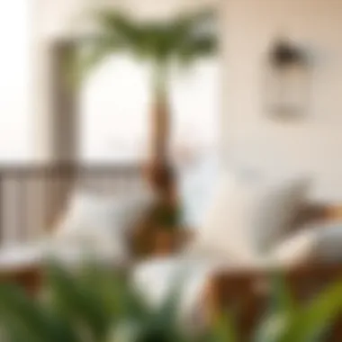 Exploring the Versatility of 22 x 26 Outdoor Cushions Introduction
