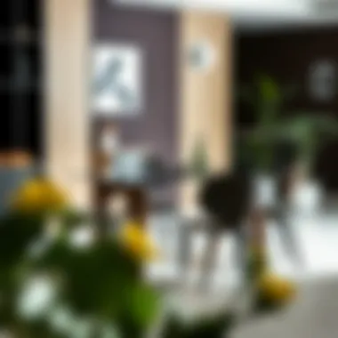 Stylish Dining Setup with Plastic Chairs Elegant dining setup showcasing a stylish plastic chair paired with a modern dining table.