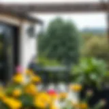 Exploring the World of Black Outdoor Patio Chairs Introduction