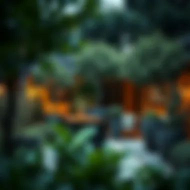 Elegant garden design featuring extra large tree pots