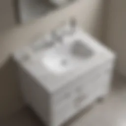 In-Depth Analysis of 25 Inch Bathroom Vanity Tops Introduction