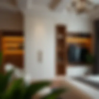 Notable Innovative Ideas for Built-in Wardrobes Notable Innovative Ideas for Built-in Wardrobes