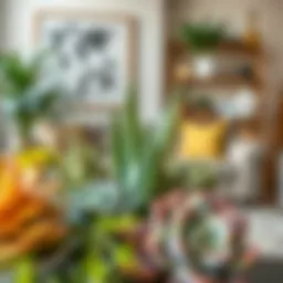 A vibrant display of large indoor succulent plants arranged artistically in a modern living room setting