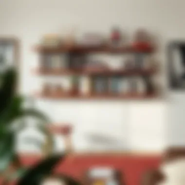 Creative wall-mounted bookshelf with artistic flair