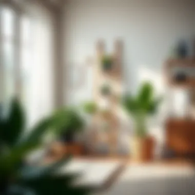 Modern Home Decor with Ladder Shelf Modern interior featuring a plants ladder shelf