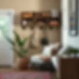 Optimizing Small Entryway Spaces with Wall Organizers Introduction