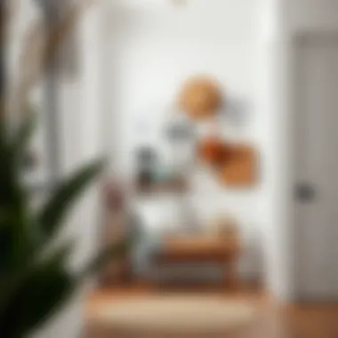 Optimizing Small Entryway Spaces with Wall Organizers Summary Optimizing Small Entryway Spaces with Wall Organizers Summary