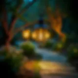 Elegant lantern illuminating a garden pathway