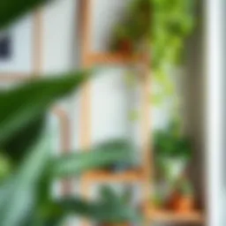 Stylish plants ladder shelf with vibrant greenery