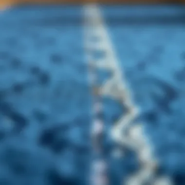 Quality Materials of Safavieh Navy Blue Rugs Safavieh navy blue rug showcasing its material quality and texture