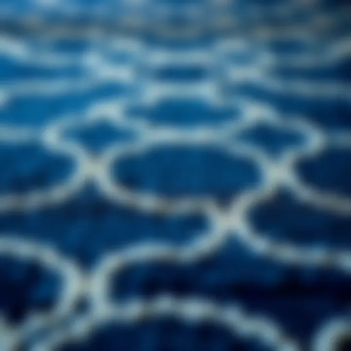 Intricate Patterns of Safavieh Navy Blue Rugs Close-up view of the intricate pattern of a Safavieh navy blue rug