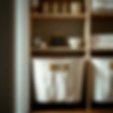 Notable Selecting Exceptional Storage Bins for Your Linen Closet Notable Selecting Exceptional Storage Bins for Your Linen Closet