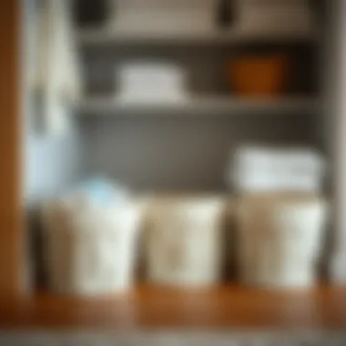 Selecting Exceptional Storage Bins for Your Linen Closet Summary Selecting Exceptional Storage Bins for Your Linen Closet Summary