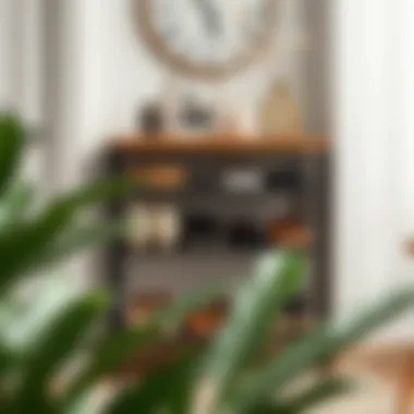 Shoe rack showcasing storage and decorative elements