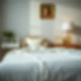 The All-White Bedspread: Aesthetic, Functionality, and Maintenance Introduction