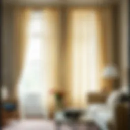 The Art of Ivory Rod Pocket Curtains Introduction