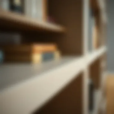 Close-up of the materials used in the Billy Oxford bookcase