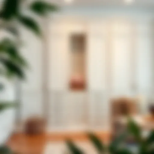 The Comprehensive Guide to White Closet Cabinets with Drawers Introduction