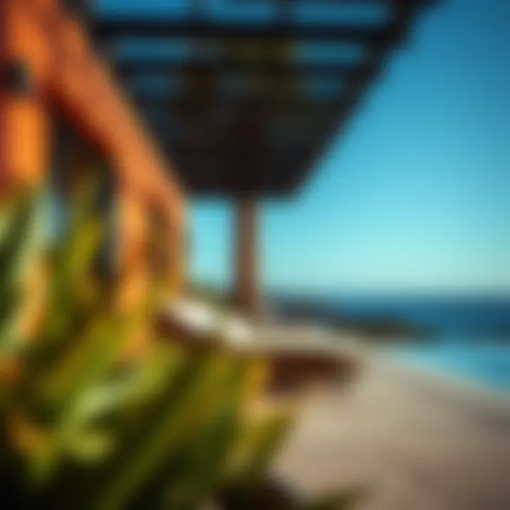 The Integral Role of Sun Lounges in Modern Outdoor Spaces Summary