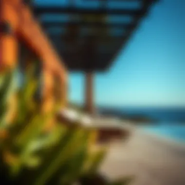 The Integral Role of Sun Lounges in Modern Outdoor Spaces Summary The Integral Role of Sun Lounges in Modern Outdoor Spaces Summary