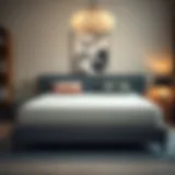 The Optimal Mattress Selection for Back Health Introduction