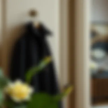 The Practicality and Aesthetic of Jacket Hangers for Doors Summary The Practicality and Aesthetic of Jacket Hangers for Doors Summary