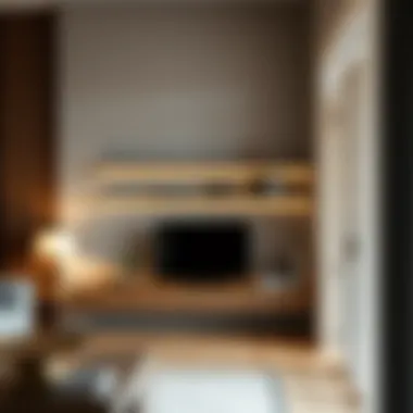 The Role and Design of Low Wide Shelves in Modern Interiors Introduction The Role and Design of Low Wide Shelves in Modern Interiors Introduction