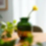 The Versatility of Eight-Inch Glass Vases Introduction