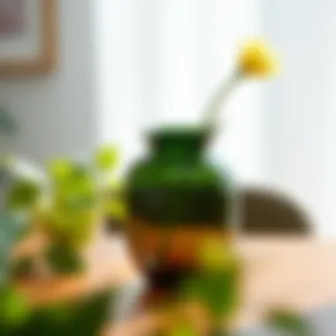 The Versatility of Eight-Inch Glass Vases Introduction The Versatility of Eight-Inch Glass Vases Introduction