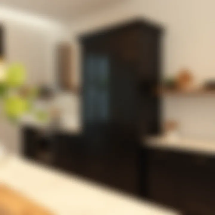 Notable The Versatility of Upright Pantry Cabinets