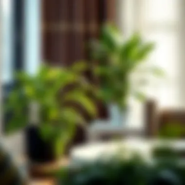 Notable Understanding Plastic Fern Plants in Modern Decor Notable Understanding Plastic Fern Plants in Modern Decor