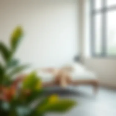 Compact Single Bed in Minimalist Design A compact single bed in a minimalist room setting