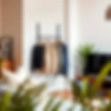 Stylish Integration of Functionality in Home Decor Elegant wall-mounted sweater drying rack in a stylish living room.