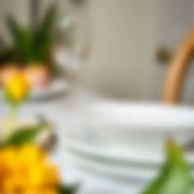 Close-up of white acrylic dinner plate showcasing its glossy finish